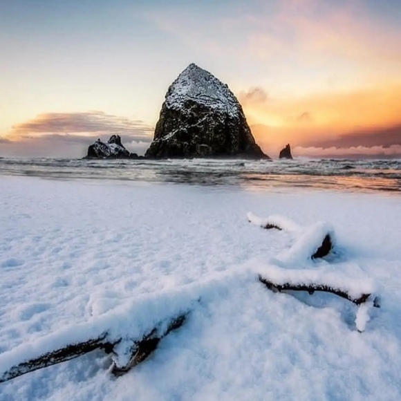 Meet your Posher, Sarah - Picture 1 of 1